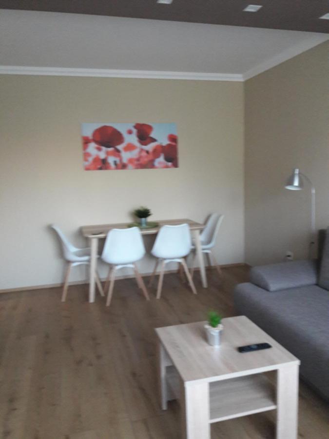 Studio+19 Apartman 考津茨包尔齐考 外观 照片